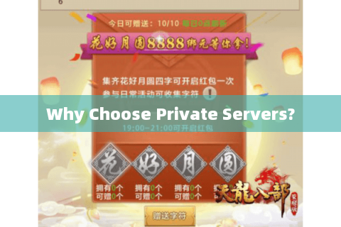 Why Choose Private Servers?