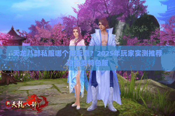天龙八部私服哪个好玩点?2025年玩家实测推荐这五类特色服 天龙八部私服哪个好玩点?2025年玩家实测推荐这五类特色服