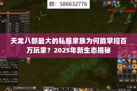 天龙八部最大的私服家族为何能掌控百万玩家?2025年新生态揭秘 天龙八部最大的私服家族为何能掌控百万玩家?2025年新生态揭秘