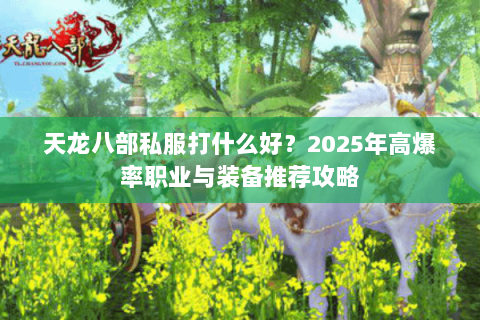 天龙八部私服打什么好？2025年高爆率职业与装备推荐攻略