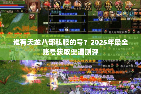 谁有天龙八部私服的号？2025年最全账号获取渠道测评