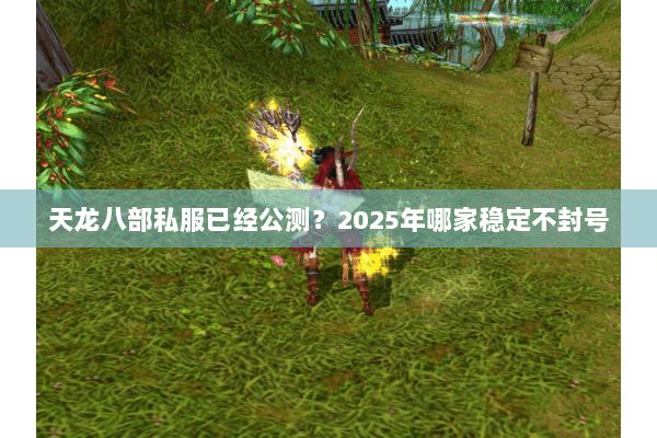 天龙八部私服已经公测?2025年哪家稳定不封号 天龙八部私服已经公测?2025年哪家稳定不封号