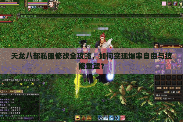 天龙八部私服修改全攻略,如何实现爆率自由与技能重塑? 天龙八部私服修改全攻略,如何实现爆率自由与技能重塑?