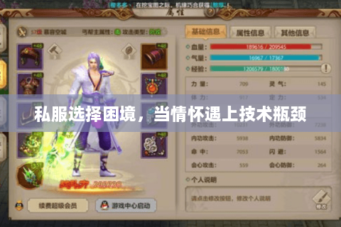 私服选择困境,当情怀遇上技术瓶颈 私服选择困境,当情怀遇上技术瓶颈