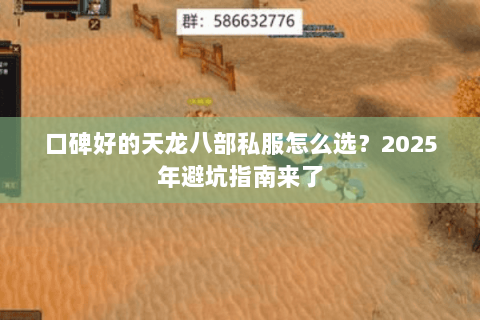 口碑好的天龙八部私服怎么选？2025年避坑指南来了