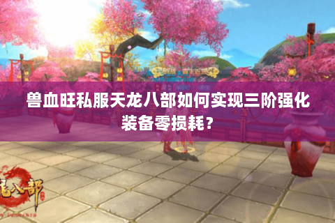 兽血旺私服天龙八部如何实现三阶强化装备零损耗? 兽血旺私服天龙八部如何实现三阶强化装备零损耗?