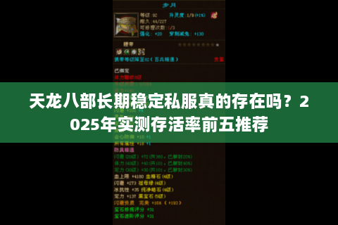 天龙八部长期稳定私服真的存在吗？2025年实测存活率前五推荐