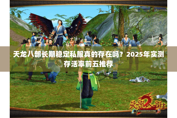 天龙八部长期稳定私服真的存在吗？2025年实测存活率前五推荐
