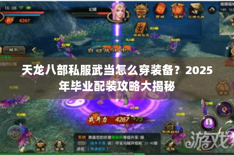 天龙八部私服武当怎么穿装备？2025年毕业配装攻略大揭秘