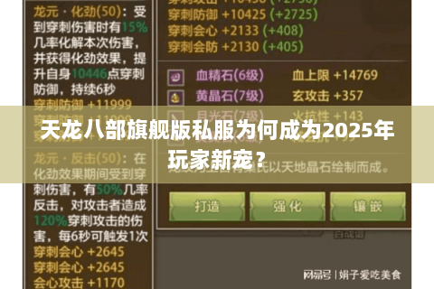 天龙八部旗舰版私服为何成为2025年玩家新宠？