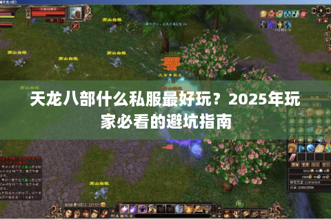 天龙八部什么私服最好玩?2025年玩家必看的避坑指南 天龙八部什么私服最好玩?2025年玩家必看的避坑指南