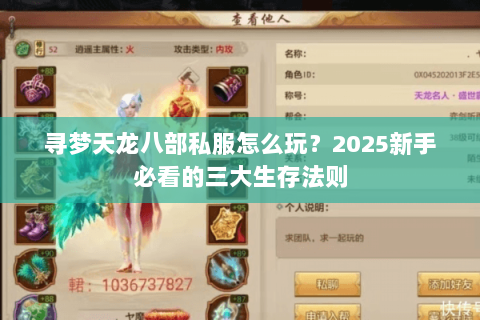 寻梦天龙八部私服怎么玩？2025新手必看的三大生存法则