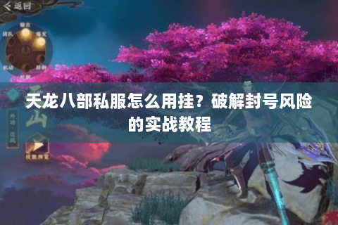 天龙八部私服怎么用挂?破解封号风险的实战教程 天龙八部私服怎么用挂?破解封号风险的实战教程