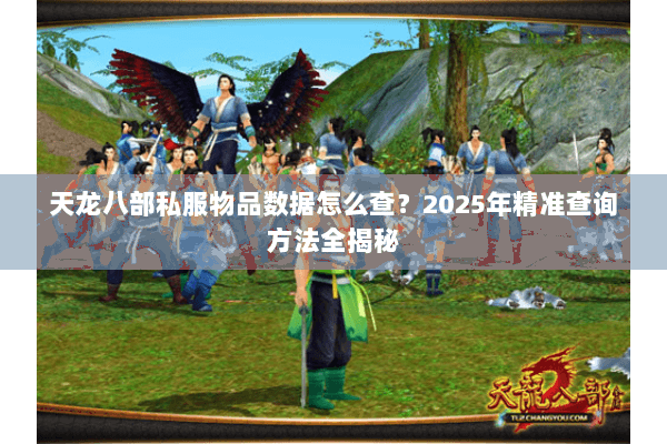天龙八部私服物品数据怎么查？2025年精准查询方法全揭秘