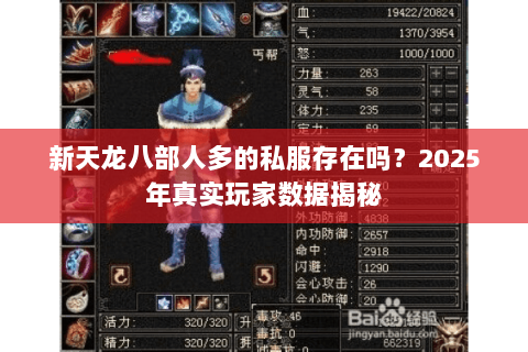 新天龙八部人多的私服存在吗?2025年真实玩家数据揭秘 新天龙八部人多的私服存在吗?2025年真实玩家数据揭秘