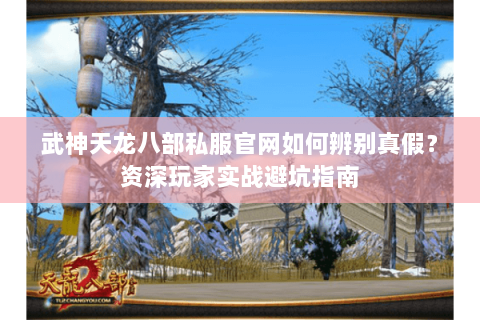 武神天龙八部私服官网如何辨别真假？资深玩家实战避坑指南