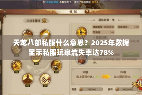天龙八部私服什么意思？2025年数据显示私服玩家流失率达78%