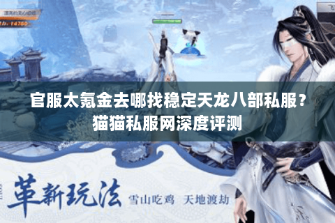 官服太氪金去哪找稳定天龙八部私服？猫猫私服网深度评测