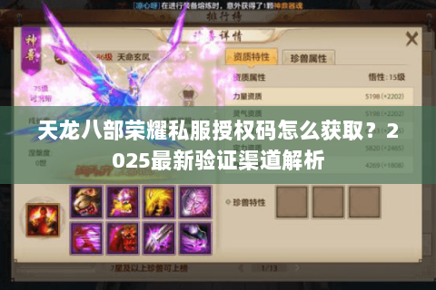 天龙八部荣耀私服授权码怎么获取？2025最新验证渠道解析