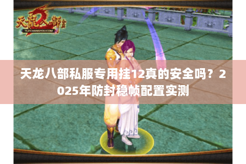 天龙八部私服专用挂12真的安全吗？2025年防封稳帧配置实测