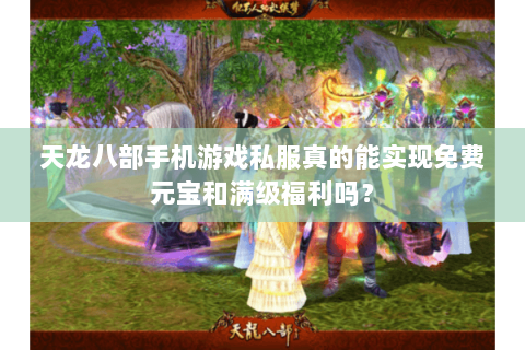天龙八部手机游戏私服真的能实现免费元宝和满级福利吗？