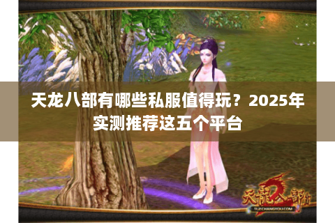 天龙八部有哪些私服值得玩?2025年实测推荐这五个平台 天龙八部有哪些私服值得玩?2025年实测推荐这五个平台