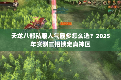 天龙八部私服人气最多怎么选?2025年实测三招锁定真神区 天龙八部私服人气最多怎么选?2025年实测三招锁定真神区