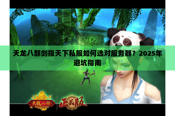 天龙八部剑指天下私服如何选对服务器？2025年避坑指南