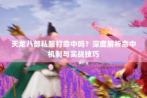 天龙八部私服打命中吗？深度解析命中机制与实战技巧