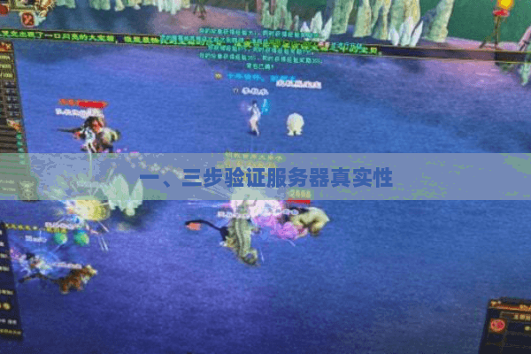 一、三步验证服务器真实性 一、三步验证服务器真实性