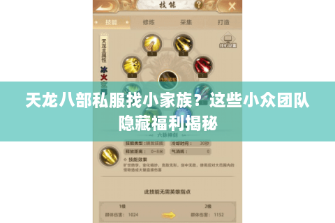 天龙八部私服找小家族?这些小众团队隐藏福利揭秘 天龙八部私服找小家族?这些小众团队隐藏福利揭秘