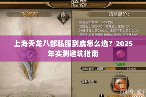 上海天龙八部私服到底怎么选?2025年实测避坑指南 上海天龙八部私服到底怎么选?2025年实测避坑指南