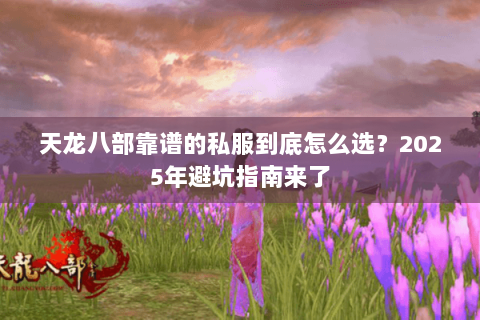 天龙八部靠谱的私服到底怎么选?2025年避坑指南来了 天龙八部靠谱的私服到底怎么选?2025年避坑指南来了