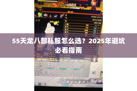55天龙八部私服怎么选？2025年避坑必看指南