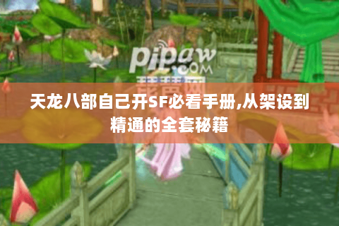 天龙八部自己开SF必看手册,从架设到精通的全套秘籍 天龙八部自己开SF必看手册,从架设到精通的全套秘籍