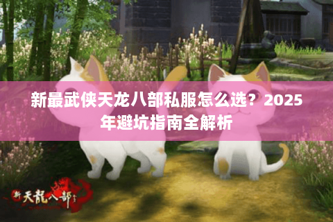 新最武侠天龙八部私服怎么选？2025年避坑指南全解析