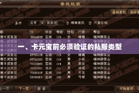一、卡元宝前必须验证的私服类型
