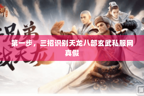 第一步,三招识别天龙八部玄武私服网真假 第一步,三招识别天龙八部玄武私服网真假