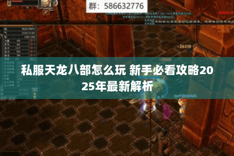 私服天龙八部怎么玩 新手必看攻略2025年最新解析 私服天龙八部怎么玩 新手必看攻略2025年最新解析
