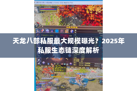天龙八部私服最大规模曝光？2025年私服生态链深度解析