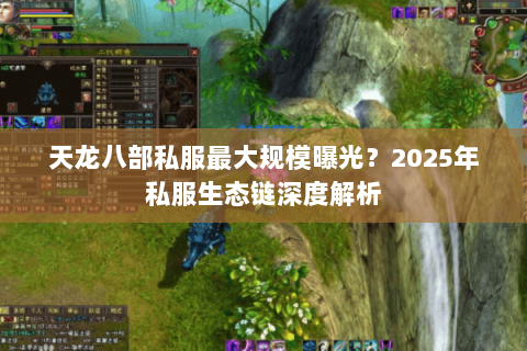 天龙八部私服最大规模曝光？2025年私服生态链深度解析