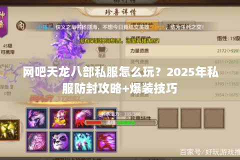 网吧天龙八部私服怎么玩？2025年私服防封攻略+爆装技巧