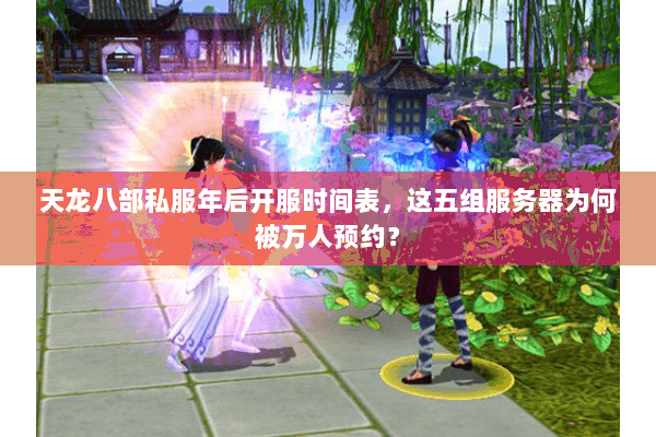 天龙八部私服年后开服时间表，这五组服务器为何被万人预约？