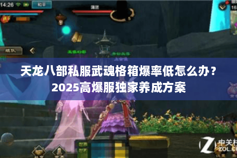 天龙八部私服武魂格箱爆率低怎么办？2025高爆服独家养成方案