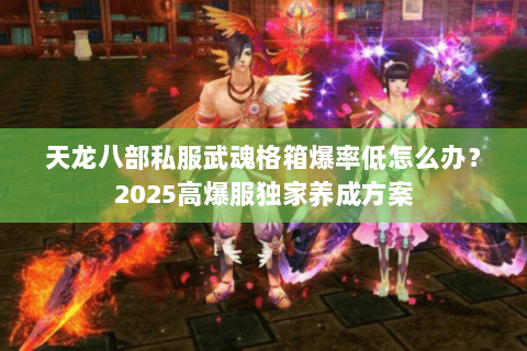 天龙八部私服武魂格箱爆率低怎么办?2025高爆服独家养成方案 天龙八部私服武魂格箱爆率低怎么办?2025高爆服独家养成方案