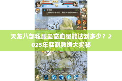 天龙八部私服最高血量能达到多少?2025年实测数据大揭秘 天龙八部私服最高血量能达到多少?2025年实测数据大揭秘