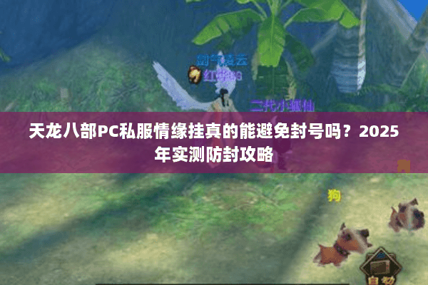 天龙八部PC私服情缘挂真的能避免封号吗？2025年实测防封攻略