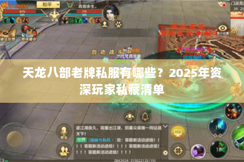 天龙八部老牌私服有哪些?2025年资深玩家私藏清单 天龙八部老牌私服有哪些?2025年资深玩家私藏清单