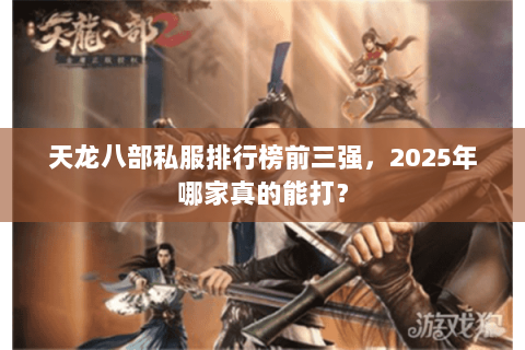 天龙八部私服排行榜前三强，2025年哪家真的能打？