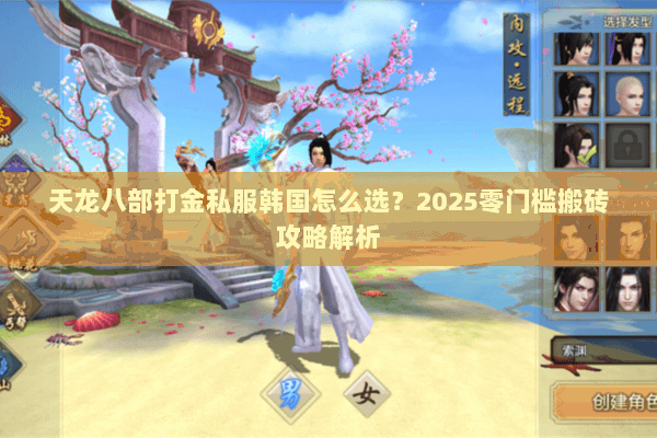 天龙八部打金私服韩国怎么选？2025零门槛搬砖攻略解析